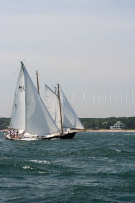 Louisa Gould - Vineyard Cup 2007