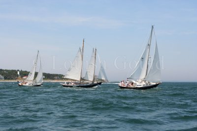 Louisa Gould - Vineyard Cup 2007