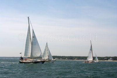 Louisa Gould - Vineyard Cup 2007