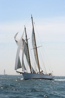 Louisa Gould - Vineyard Cup 2007