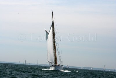 Louisa Gould - Vineyard Cup 2007