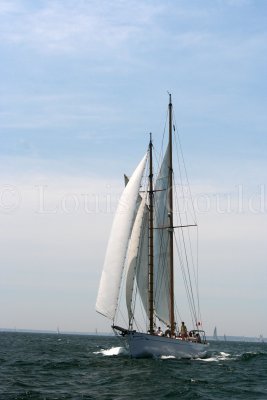 Louisa Gould - Vineyard Cup 2007