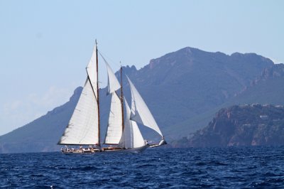 Louisa Gould - Cannes Roayl Regates