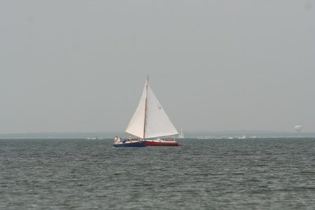 Louisa Gould - Cat Boat Race