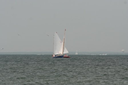 Louisa Gould - Cat Boat Race