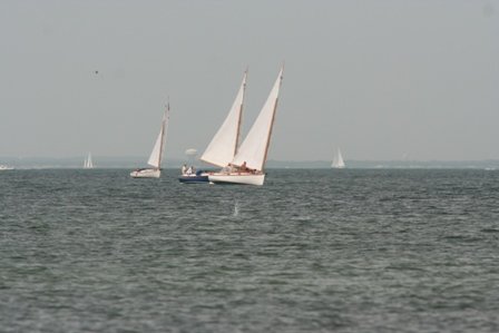 Louisa Gould - Cat Boat Race