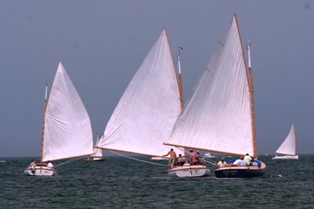 Louisa Gould - Cat Boat Race