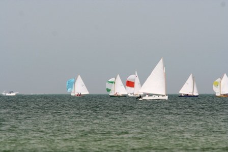 Louisa Gould - Cat Boat Race