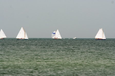 Louisa Gould - Cat Boat Race