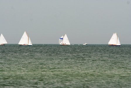 Louisa Gould - Cat Boat Race