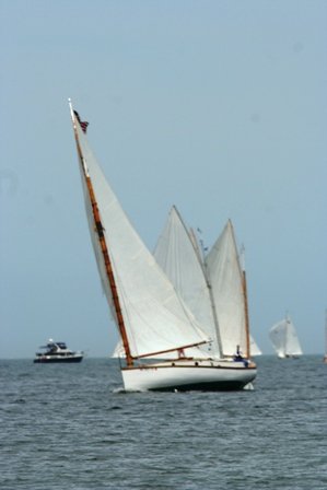 Louisa Gould - Cat Boat Race