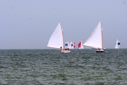 Louisa Gould - Cat Boat Race