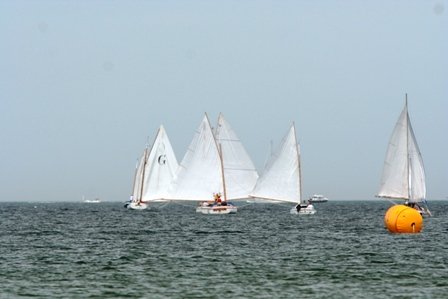 Louisa Gould - Cat Boat Race