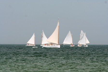 Louisa Gould - Cat Boat Race