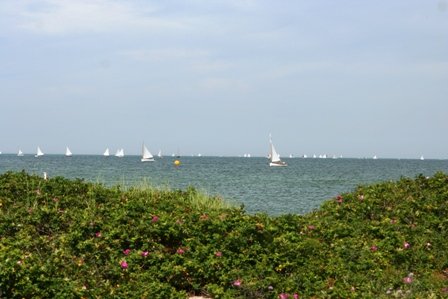 Louisa Gould - Cat Boat Race