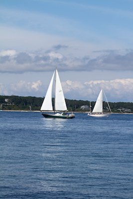 Louisa Gould - Moffett Race 2015