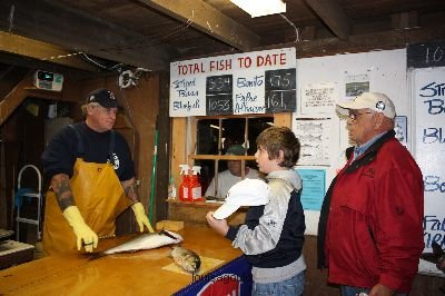 Louisa Gould - MV Fishing Derby Week 4 2008