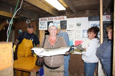 Louisa Gould - MV Fishing Derby Week 4 2008