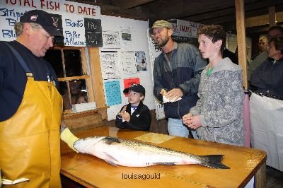 Louisa Gould - MV Fishing Derby Week 4 2008