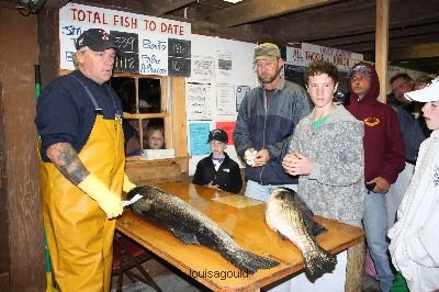 Louisa Gould - MV Fishing Derby Week 4 2008