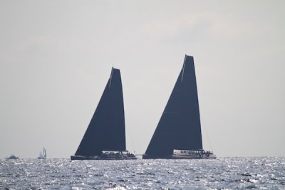 Louisa Gould - Les Voiles de Saint-Tropez