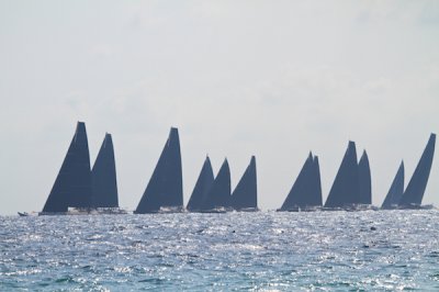 Louisa Gould - Les Voiles de Saint-Tropez