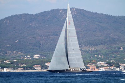 Louisa Gould - Les Voiles de Saint-Tropez