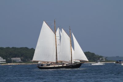 Louisa Gould - Vineyard Cup Day 2