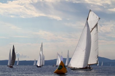 Louisa Gould - Les Voiles de Saint-Tropez