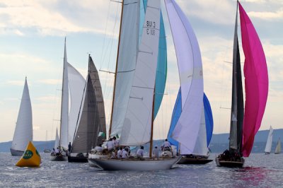 Louisa Gould - Les Voiles de Saint-Tropez