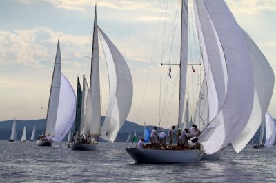 Louisa Gould - Les Voiles de Saint-Tropez