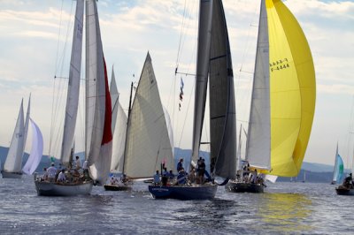 Louisa Gould - Les Voiles de Saint-Tropez