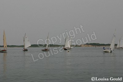 Louisa Gould - Menemsha Pond