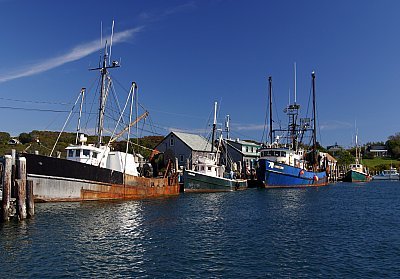 Louisa Gould - Menemsha Fishing Boats