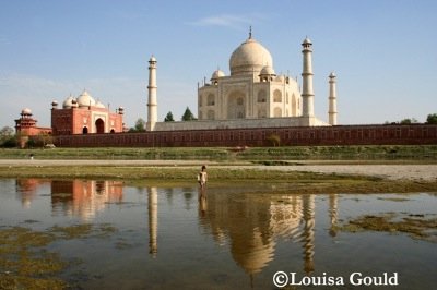 Louisa Gould - Taj Mahal