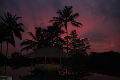 Louisa Gould - Bali Indonesia