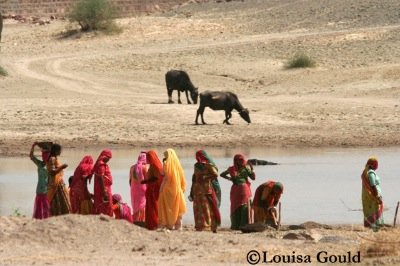 Louisa Gould - Women by the Watering Hole