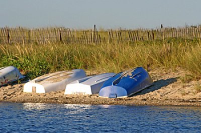 Louisa Gould - Beach Dinghys