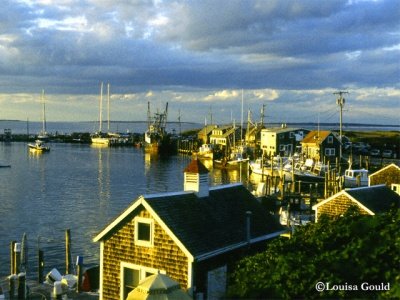 Louisa Gould - Marthas Vineyard