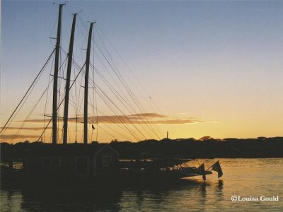 Louisa Gould - Marthas Vineyard