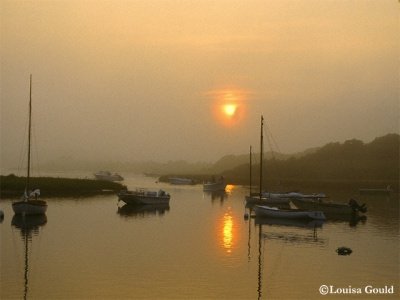 Louisa Gould - Marthas Vineyard