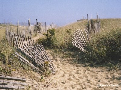 Louisa Gould - Marthas Vineyard