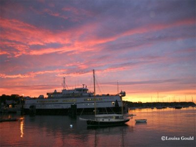 Louisa Gould - Marthas Vineyard