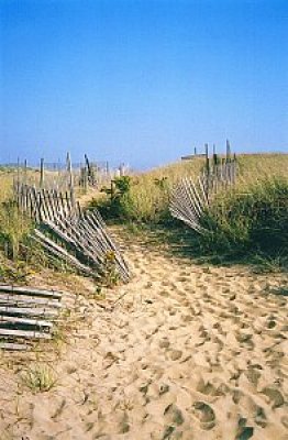 Louisa Gould - Beach