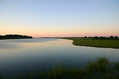 Louisa Gould - Marsh at Dusk