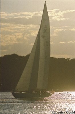 Louisa Gould - Sailing Silhouette