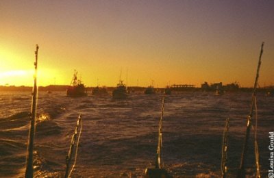 Louisa Gould - Taranga Fishing Tournament