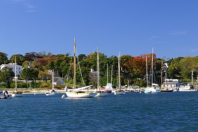 Louisa Gould - Vineyard harbor