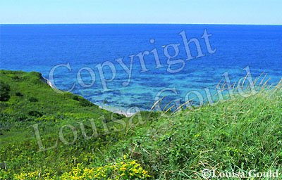 Louisa Gould - Aquinnah Colors