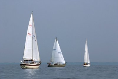 Louisa Gould - Around the Island Race